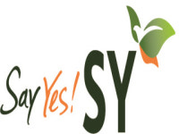 에스와이, 자사주 100만주 매수…주주가치 제고 목적