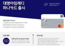 대명아임레디, 하나카드 제휴…PLCC 시장 진출