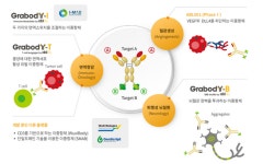 에이비엘바이오 '그랩바디-B' 조 단위 기술수출 가시화