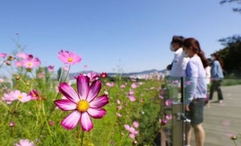 [오늘(23일) 날씨] '추분' 선선한 가을…내륙지역 일교차 커