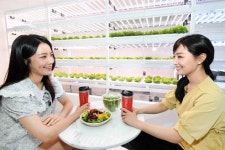 홈플러스, 도시형 스마트팜 카페 팜스365 오픈