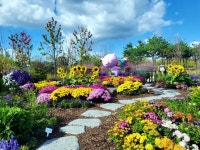 신협, 평생 어부바 신협 정원 조성 완료