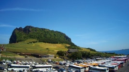 재미부터 감동까지…KT, 기가아이즈 이색 영상 소개