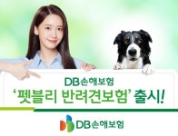 DB손해보험, 펫블리 반려견보험 출시
