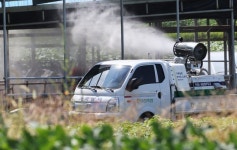 강원 양구 한우농장서 럼피스킨 발생