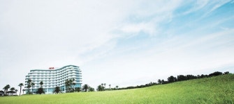 [메가 캐리어 빛과 그림자] 투자 시급한데…호텔 사업 적자에도 공들인다