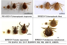 검역본부, 진드기 매개 감염병 대응 전국 59곳 감시망 가동