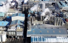 CJ·대상·삼양·사조 정조준한 사정 칼날…전분당업계 격랑 속으로