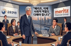 금감원 
