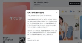 강남언니 이용자 21만9665명 개인정보 유출…상담·시술 정보까지 포함