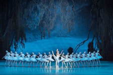 [나의 문화생활] 발레 마린스키 백조의 호수를 보고