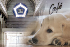 [판결](단독) 애견카페서 강아지가 계단에 미끄러져 부상 당했어도
