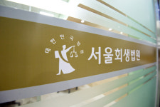 서울회생법원, 이스타항공-성정 투자계약 체결 허가