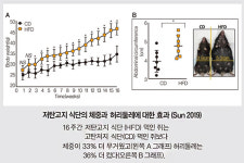 (27) 저탄수화물 다이어트가 성공하려면