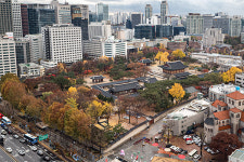 [포토] 내 마음의 풍경