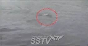 전설의 괴물 네시 출현? 현지인들은 확신