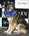 [SS포토] 하울링 VIP시사회 질풍이, 제가 진정한 주인공이죠!