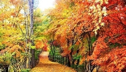 올해 첫 단풍 예상, 평년보다 1~4일 늦을 듯... 28일 설악산부터 시작