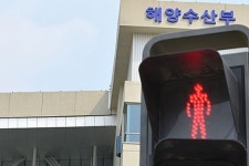 횡단보도 녹색불 시간 연장, 노인 교통사고 증가… 보행 특성 고려