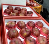 유통기한 지나도 괜찮은 음식, 유제품·과일 등…보관 방법은?