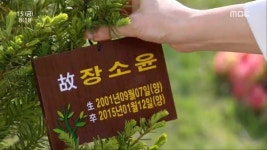 찬비야머리하자 | '폭풍의 여자' 박선영, 정찬비 찾아 "찬비야 엄마왔어" [아침드라마]