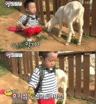 슈퍼맨이 돌아왔다 쌍둥이 서언-서준, 동물원서 호기심 폭발 이거 뭐야? [주말 예능]