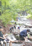 14일 임시공휴일 지정 논의… 3일 연휴 기대감에 숨은 계곡 10곳 관심