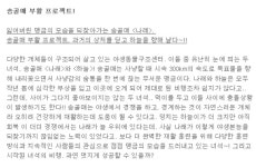동물농장 송골매 부활 프로젝트 공개…시속 300km 사냥 맹금류 위용 되찾을까?