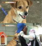 TV동물농장 똘이, 3개월 애타게 기다린 주인과 만나… 2개월 만에 어떻게 달라졌나?