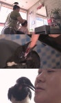 TV동물농장 은퇴한 군견 올가 전역 4개월 만에 군기 빠졌다?/시골 미용실 새끼까치 까순이는 파마롯드 물어오는 보조?
