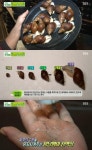 생방송투데이 피부 미용에 좋은 왕달팽이로 연 매출 3억 원, 귀농 부부