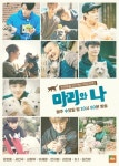 [종합] 마리와 나 동물 예능 만난 강호동, 강블리 매력을 기대해