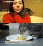 동물농장 소녀시대 써니, 철조망 고양이 후추 임시보호 맡았다...특별한 공존