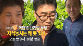 [오늘밤TV] 리얼스토리 눈 경북청도 미나리 밭부터 미나리 식당까지 냉랭부자의 결말은?