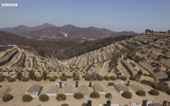 진달래메모리얼파크, 장묘법 개정 이후 눈길