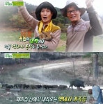 생방송투데이 귀농이 대박, 산골 멧돼지 농장 매출 2억원