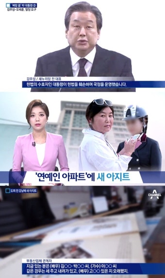 김무성 대통령 탈당 요구, 최순실은 '연예인 아파트'에 새 아지트 마련했다? '매매가 보니…'