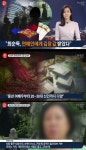 최순득 연예인, 돈 건네고 고작 서너 포기 받았다? 연예인 B씨 순득이 누나, 사람 좋아