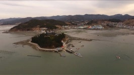 [오늘밤TV] 다큐3일 강진 서중마을, 김 양식, 아이들 기르는 것 보다 더 어렵습니다...강진군 마량면 강진만 의 김, 전복, 감태  채취