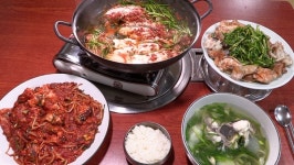 [오늘밤TV] 한국인의 밥상 복어밥상, 겨울 바다의 강자 참복, 주문진 복어 밀복 밥상, 통영 복어양식, 어만두