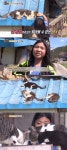 동물농장 다리 절단한 고양이 양이, 1년 만에 네 가족…소녀 해나와 특별한 인연
