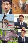 비정상회담 윤박 다음 생엔 동물로 태어나고파…그레이하운드 개나 나무늘보