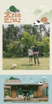 효리네 민박 이효리♥이상순 부부, 결혼 5년차 부부의 달달함이란 이런 것