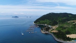 한국기행 흑산도 홍어 여기서는 홍어 삼합을 안먹어요