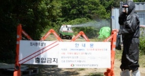 파주 양계농장 AI, H5N8형 확진…발원지 군산과 동일 고병원성 여부는 아직