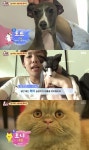 동물농장 위너, 반려동물 오뜨-레이-베이-죠니 공개…김진우, 레이저포인트 놀이