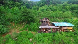 한국기행, 무더위를 날릴 숨어있는 비경! 지리산 호강골 선녀탕, 삼척 덕풍계곡