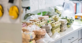 살충제 계란, 비펜트린 초과 검출 농가 21곳 등 친환경 농장도…번호 조회 축산물품질평가원 접속 지연