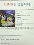 경찰 공개수사, 제주 20대 여성 실종…