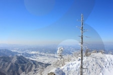 [주말여행] 겨울 국내 여행지·겨울축제 추천, 덕유산 눈꽃축제·칠갑산 얼음분수축제·고양호수꽃빛축제·대관령 하늘목장·경주 양동마을... 